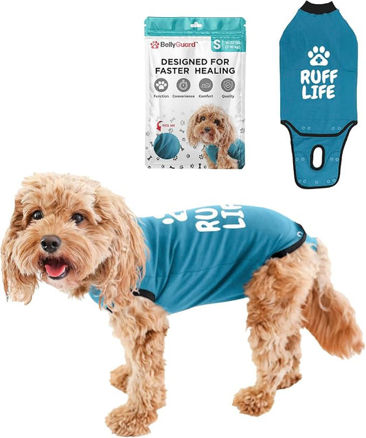 BellyGuard Dog Surgery Recovery Suit, Post-Op Dog Recovery Suit for Female Spay & Male Neuter, Comfy Onesie for Pets, Surgical Body Cover for Canine Healing Support