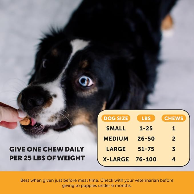 Virtual Bundle Allergy Support for Dogs + Dental Powder for Teeth Cleaning & Plaque Removal, Itch Relief, Skin & Coat Supplement with Salmon Oil & Probiotics