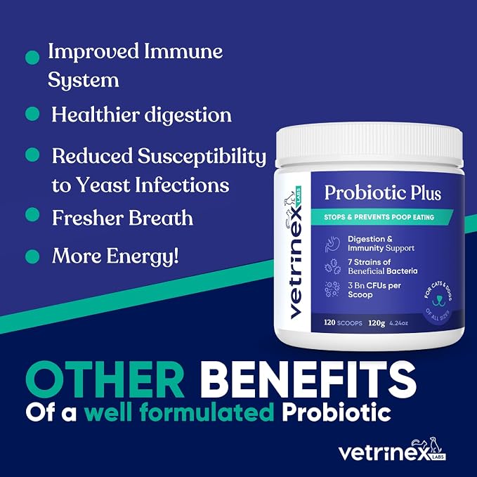 Coprophagia Poop Eating Deterrent & Prevention, Stop & Prevent Stool Eating Treatment - Probiotics for Dogs, Cats and Puppies - Forbids Dog from Eating Poop - Probiotic Powder (120 GMS)