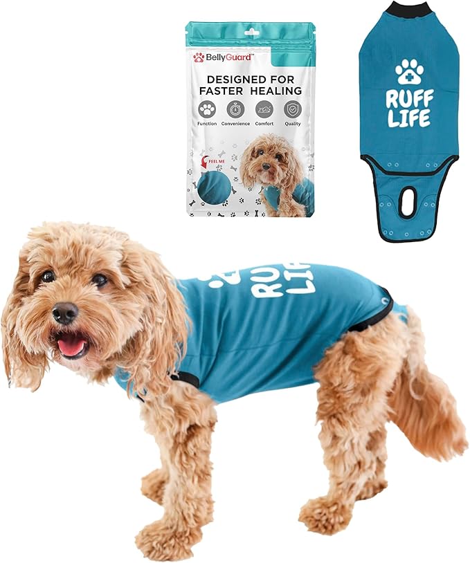 BellyGuard Dog Surgery Recovery Suit, Post-Op Dog Recovery Suit for Female Spay & Male Neuter, Comfy Onesie for Pets, Surgical Body Cover for Canine Healing Support