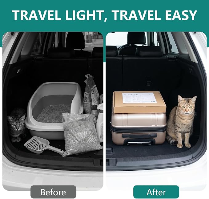 Cat Litter Travel Kit with Flushable Clumping Litter, Foldable Disposable Cardboard Litter Box & Scoop, Portable Cat Travel Essentials for Road Trips, Hotels, Moving & Emergency Use