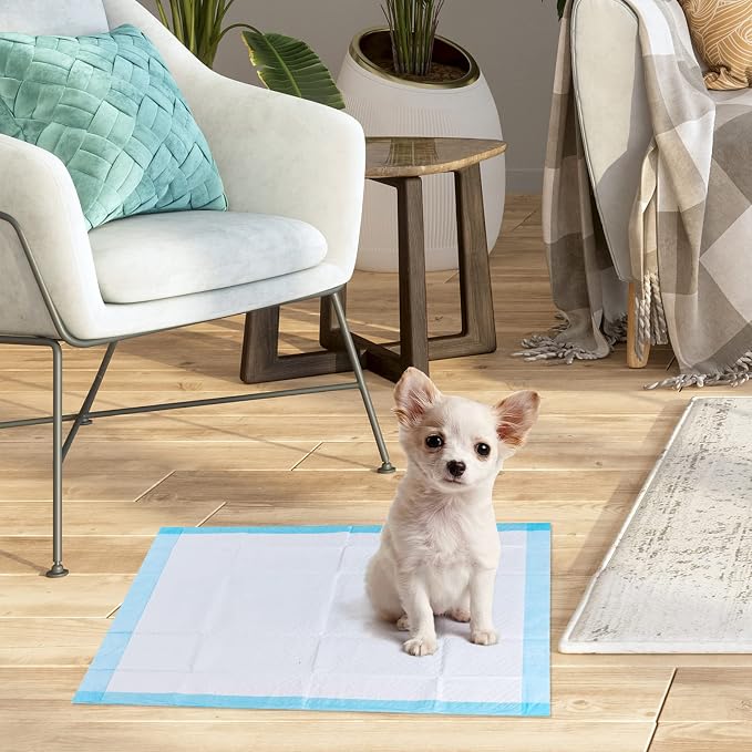 PETSITE Dog Pee Pads 24"x17"-300 Count, Dog and Puppy Potty Training Pads Super Absorbent & Leak-Proof, XL Disposable Pet Piddle Pad and Potty Pads for Dogs, Puppies, Doggie