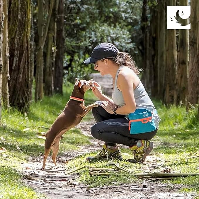 RC Pets Quick Grab Treat Bag | Compact & Convenient (Heather Caramel)
