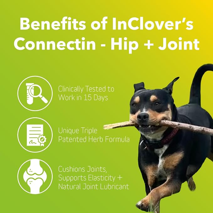InClover Connectin Natural Hip & Joint Supplement for Dogs with Glucosamine, Chondroitin & Hyaluronic Acid - Soft Chew for Dog Mobility, Comfort & Active Lifestyle Support, 300 Count