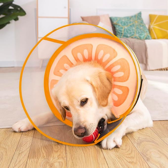 Inflatable Dog Cone Collar for Large Medium Small Dogs, Soft Dog Donut Collar Adjustable Recovery Cone for Pets After Surgery, Extra Enhanced Anti-Licking Guard Shield for Pets (Medium, Orange)