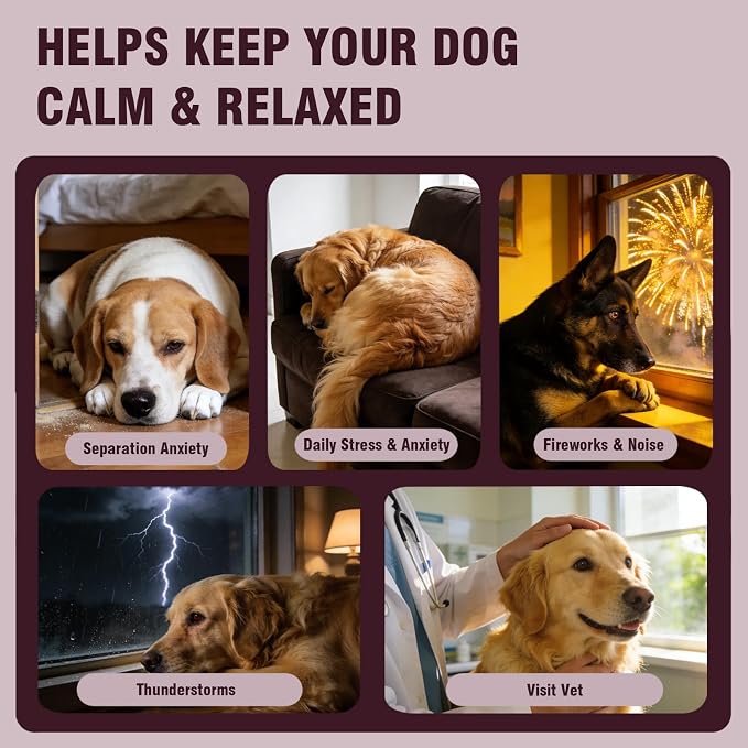Calming Chews for Dogs 200 ct, Dog Calming Treats and Bites with Melatonin Anxiety Relief Treats for Dogs- Supports Relaxation for Travel, Separation, Barking, Fireworks, Chicken Flavor