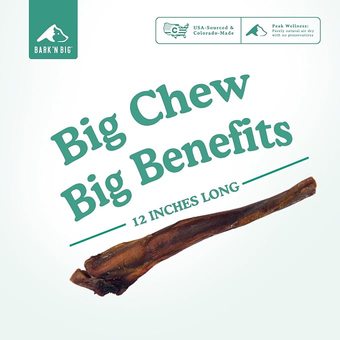BARK'N BIG 12 Inch Monster Bully Sticks for Large Dogs - Colossal Bullarge Size - Made in USA - Single Ingredient Dog Chew - Super Premium Pizzle Sticks - Jumbo Beef Pizzles for Large Breeds - 1 ct