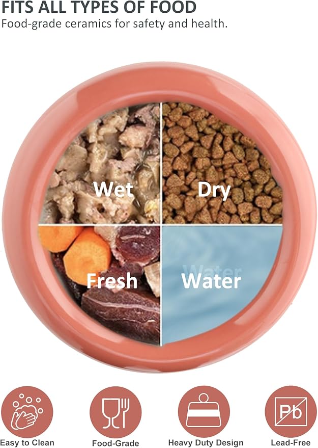 Elevated Cat Water Bowls Raised Small Ceramic Dog Bowl,Non-Slip Tilted Cat Food Bowl Whisker Friendly-Pink