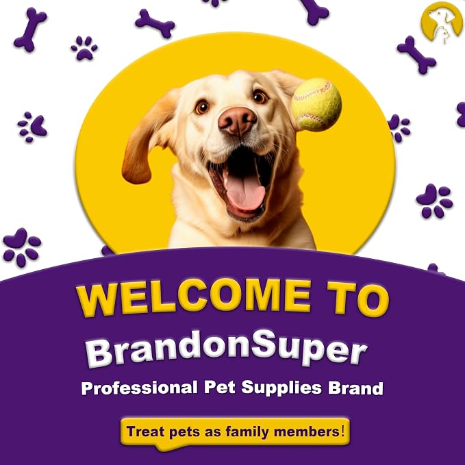 BrandonSuper Dog Diapers Female 50CT,XXS,Ultra Absorbent Disposable Girl Doggy Diapers,Leak-Proof 360°Waist Dog Diapers