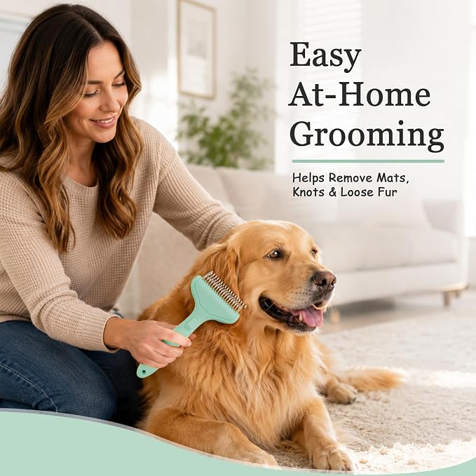 Dog Brush and Cat Deshedding Rake, Pet Grooming Tool for Shedding with Rounded Stainless Steel Teeth, Comfortable Grip for Long or Thick Coats (Style 2 Green)