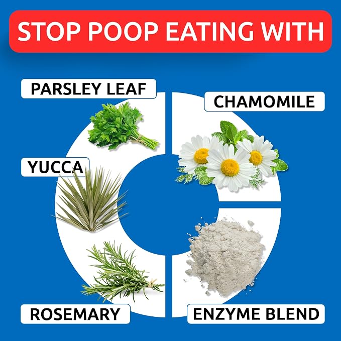 No Poo Chews for Dogs - Coprophagia & Stool Eating Deterrent with Probiotics, Digestive Enzymes & Breath Aid Support - Stop Dog Poop Eating - Made in USA - 120Ct