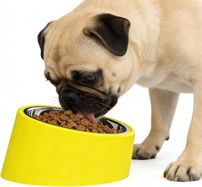 15° Tilted French Bulldog Bowl – Anti-Choke Anti-Spill Dog Bowl with Weighted Non-Skid Base, Stainless Steel Insert, Large 750ml for Flat-Faced Breeds