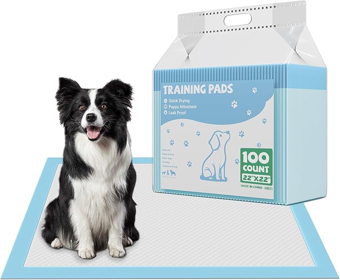 DUMOS 100 Count Puppy Pads for Dogs, 22" x 22" Potty Puppy Training Pad, 6-Layer Dog Cat Pee Pads, Super Absorbency Disposable Pet Leakproof Quick Drying Pad