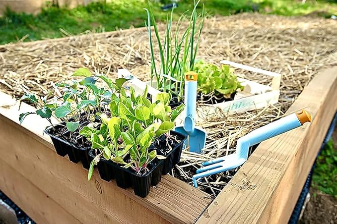 Blue Mountain Hay Organic Garden Straw (25 lb) - Natural Mulch for Gardening, Flower Beds & Landscaping, New Lawn Grass Seeding, Compost, Raised Garden Bed, Cat Grass & Grass Seed