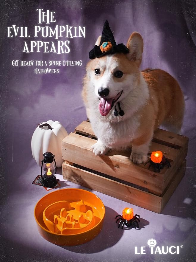 LE TAUCI Ceramic Slow Feeder Dog Bowl for Medium & Large Dogs, 3 Cup Puzzle Food Dish to Slow Down Eating, Pumpkin Orange