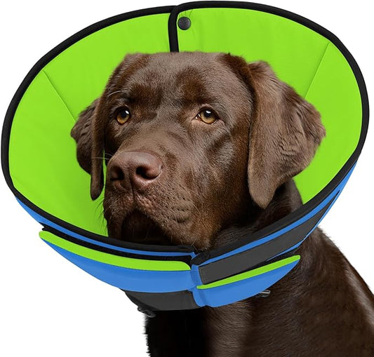 Queenmore Dog Cone XL, Soft Dog Cones for Large Dogs After Surgery, Cone for Dogs to Stop Licking, Elizabethan Collar for Pet, Alternative to Recovery Collar for Large Breeds, Blue&Green XL
