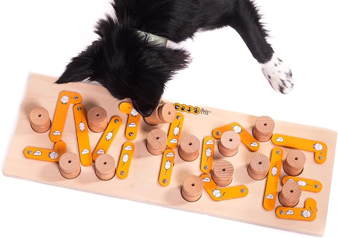 Interactive Dog Toys for Mental Stimulation - Treat Dispenser Dog Puzzle Toy, Enrichment Toys - Puzzle Feeder Dogs Training Toy - MICE