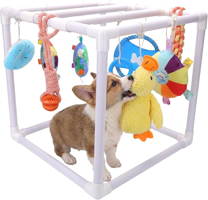BABORUI Puppy Play Gym, Indoor Hanging Activity with 9 Toys, Puppy Toys to Keep Them Busy, Adjustable Playground for Small Dogs at Home