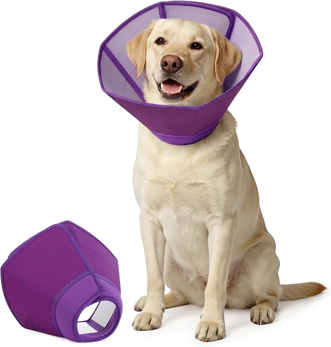 Soft Elizabethan Collar for Dogs After Surgery, Comfortable Protection Alternative for Surgery, Spay, Injury, Skin Treatment, Anti-Licking Recovery Cone Comfortable Neck Guard, Purple, Size L