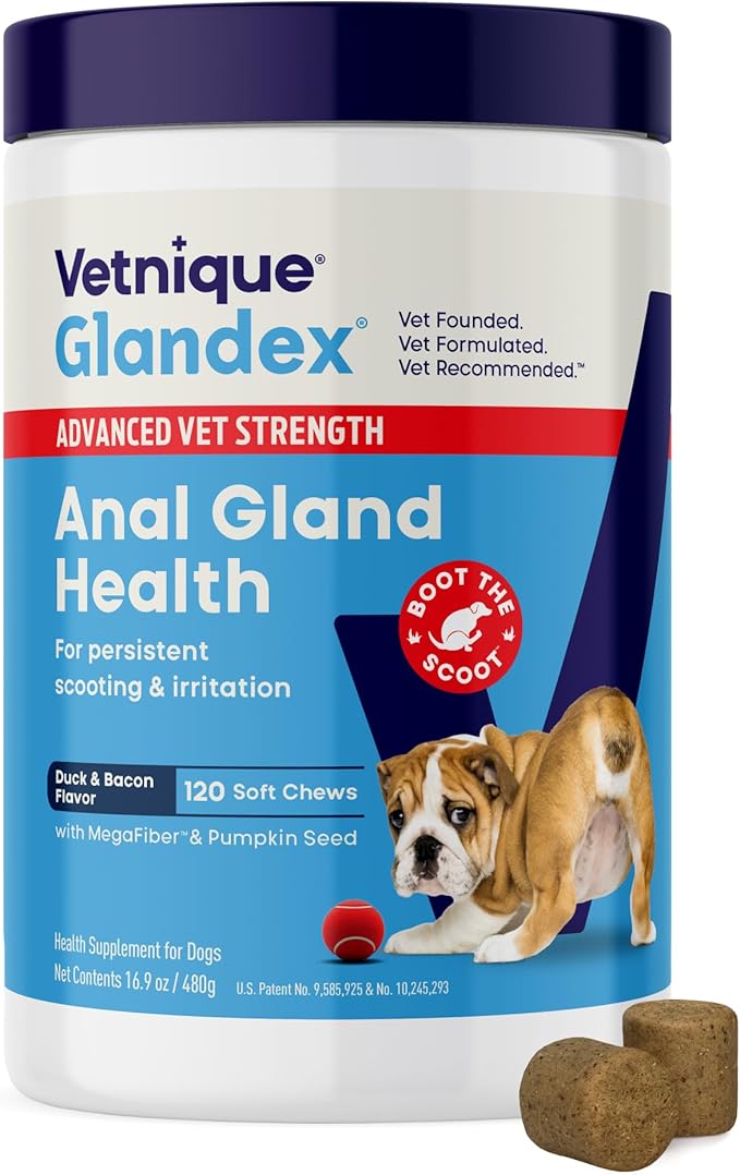 Vetnique Glandex Anal Gland Soft Chew Treats with Pumpkin for Dogs Digestive Enzymes, Probiotics Fiber Supplement for Dogs Boot The Scoot (Advanced Strength Duck/Bacon, 120 Ct)