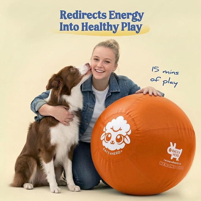 Race&Herd 30" Original XXL Herding Ball for Dogs - Herding Toys, Giant Dog Ball for Australian Shepherds, Border Collies - Durable Dog Outdoor Training Toy for Large Breeds & Horses (Tangerine)