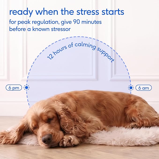 Native Pet Advanced Calming Chews for Dogs - Anxiety Relief, Stress, Separation, Travel & Sleep Support with Melatonin for Dogs, Hydrolyzed Casein, Valerian Root & L-Tryptophan - 60 Chews