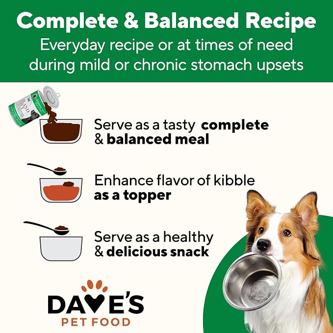 Dave's Pet Food Bland Dog Food for Sensitive Stomachs (Lamb & Rice), Limited Ingredient, Gluten & Wheat Free, Easy to Digest, Canned Wet Meal or Topper, 13.2 oz (12 Pack)