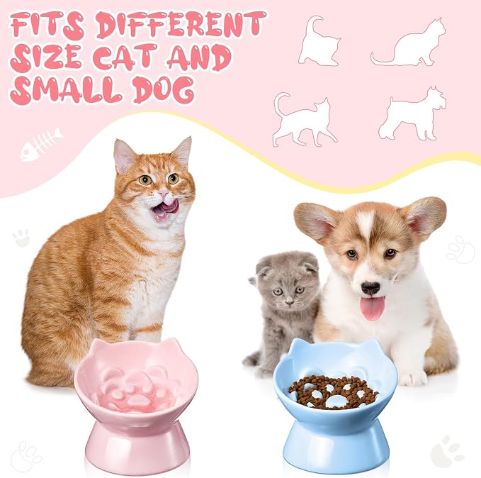 Funnymoom 2 Pcs Ceramic Raised Slow Feeder Cat Bowl, 5.91inch Elevated Cat Slow Feeder Bowl Tilted Anti Vomiting for Dry Wet Food and Water Easy to Clean High Edge(Pink, Blue)