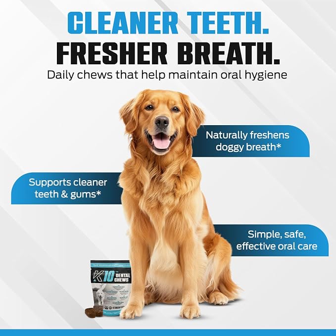 K10 Dental Chews (10 Count) – Low-Calorie Dog Chew with Human-Grade Ingredients – Dog Chews that Support Fresh Breath, Oral Hygiene, Digestion & Vitality – Vet-Preferred Dental Treats for Dogs