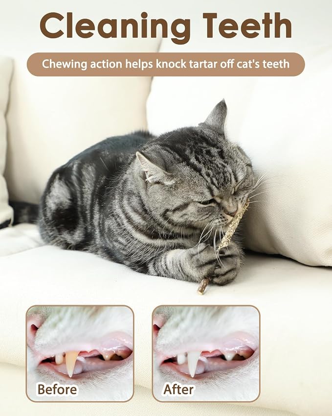Tocirelo Cat Toys for Indoor Cats & Silvervine Sticks for Cats