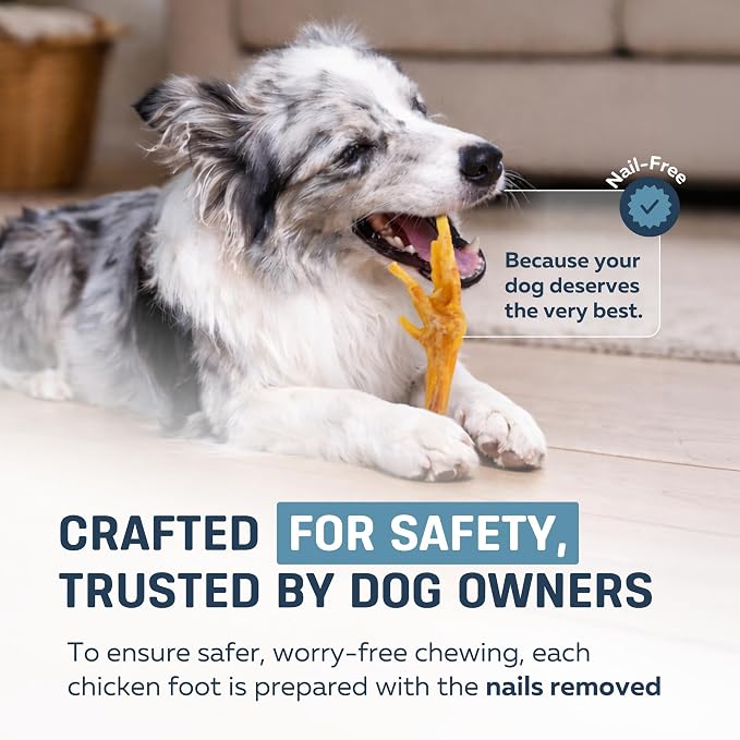 Big Lu – Nail-Free Chicken Feet Dog Chews, (60 Pack) |100% Natural Single-Ingredient Treats, Rawhide-Free, Long-Lasting, Rich in Glucosamine and Chondroitin for Joint Health