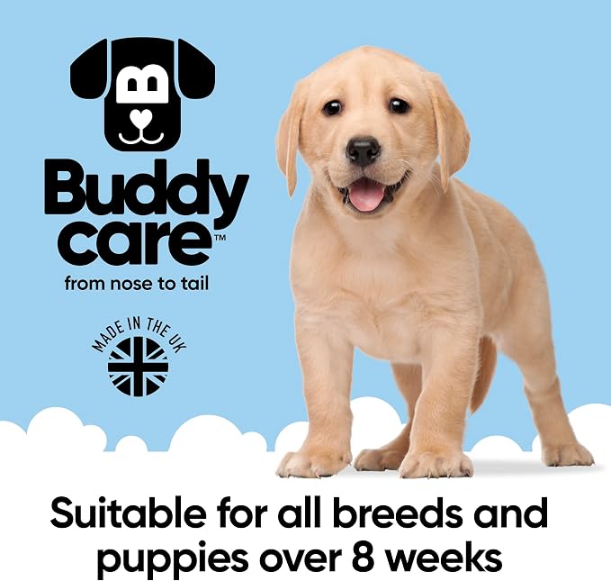 Black Cherry Dog Shampoo by Buddycare | Deep Cleansing Shampoo for Dogs | Black Cherry Scented | with Aloe Vera and Pro Vitamin B5 (50.72oz)