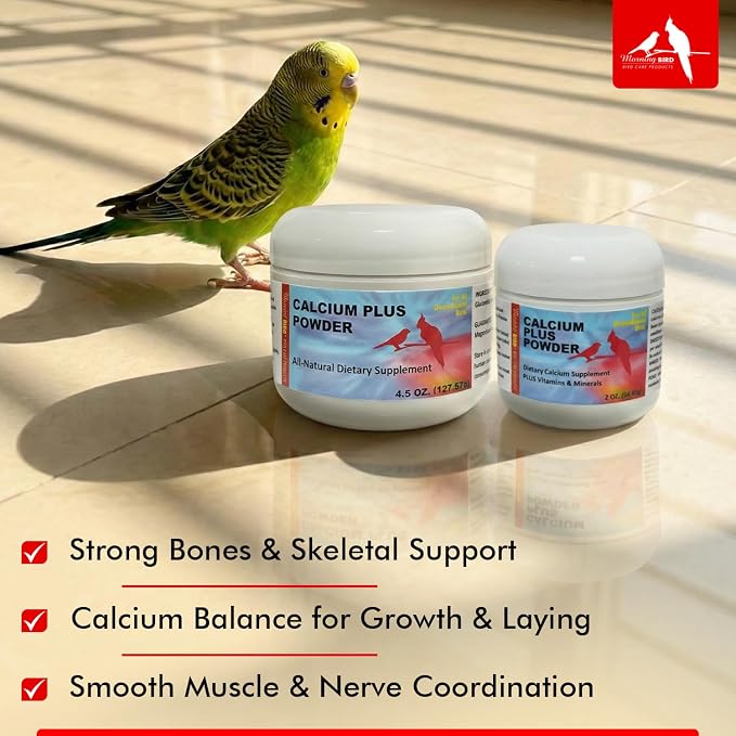 Morning Bird Calcium Plus Powder for Birds 2 oz – Calcium Supplement with Essential Vitamins & Minerals – Supports Bone Health, Muscle Function & Digestive Balance – Easy-to-Mix Calcium Formula