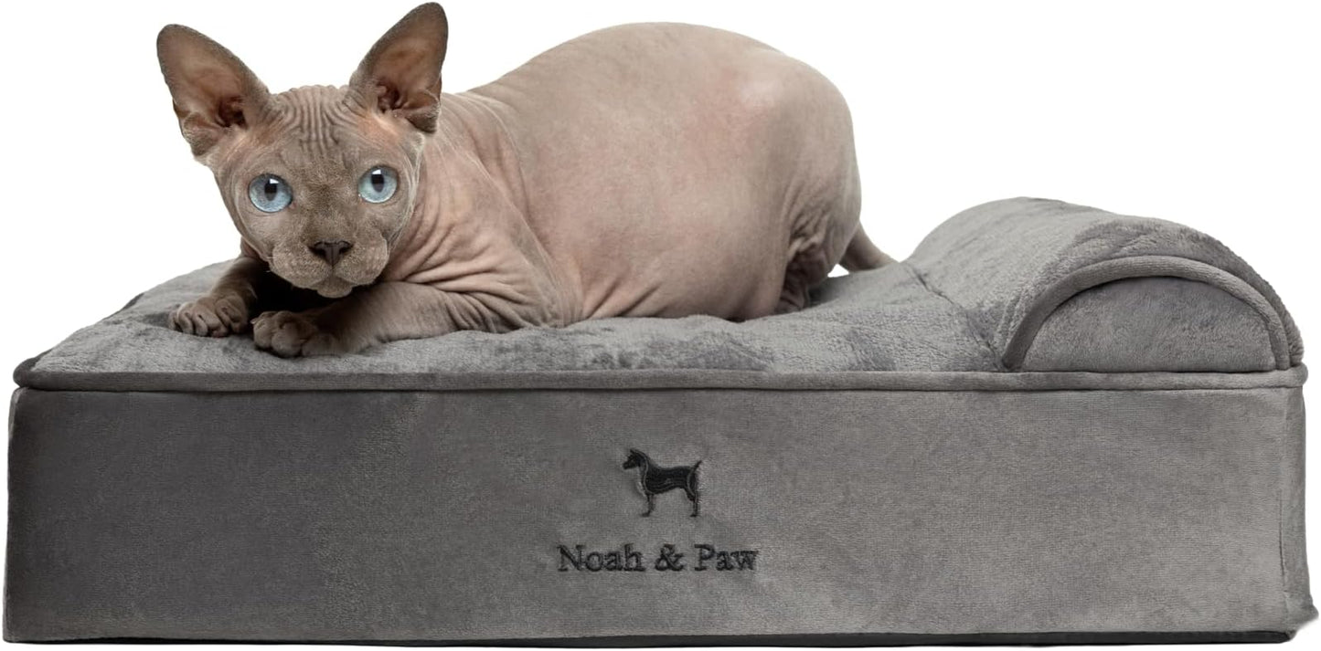 NOAH & PAW Small Dog Bed, 20x15x6.5 Inch, Cat Bed for Indoor Cats, Orthopedic Eggshell Memory Foam Infused with Cooling Gel, Water Resistant, Machine Washable, Includes Inner Cover (Velvet Collection)