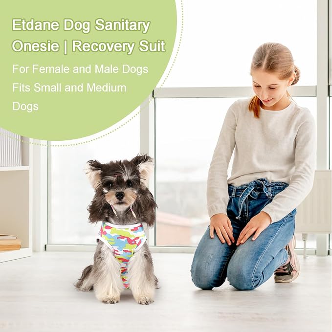 Etdane Dog Diapers Sanitary Panties Pet Period Onesie for Female Male Dogs Camouflage/XL