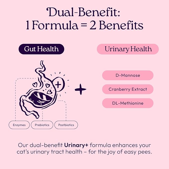 New! WellJoy Cat Supplement Urinary+ GutBoost | Cat Health Supplement | Supports Urinary Tract Health | Dual-Benefit GutBoost Formulation | Vet Formulated | USA Made | Chicken Flavor | 90 Soft Chews