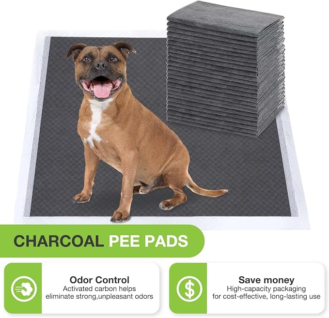 Jollywoods Disposable Dog Pee Pads, 24" x 36", 20 Counts | Odor-Control Bamboo Charcoal Fiber, Super Absorbent & Leak Proof, Quick Dry, For Dogs, Cats & Rabbits