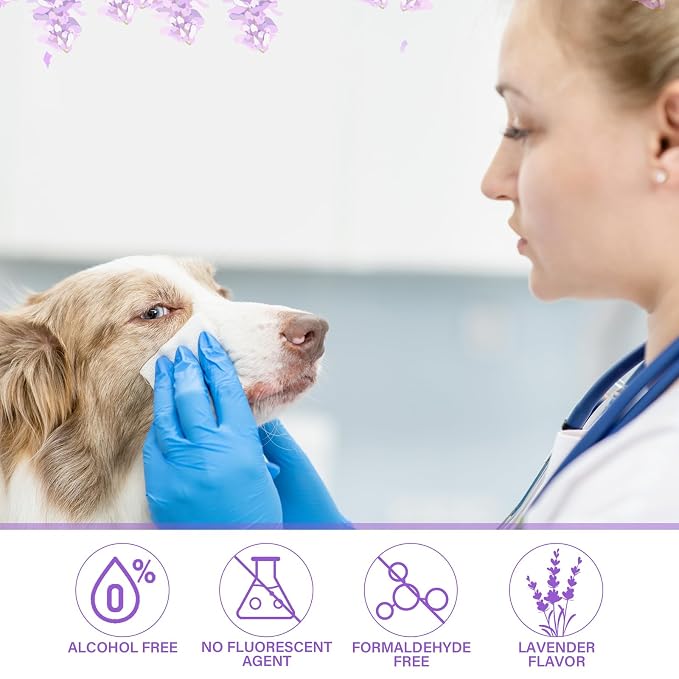 Treela 10 Packs of 800 Dog Wipes Pet Wipes Cat Grooming Supplies for Paws, Butt, Ear, Skin, Body Bath Cleaning Stain Odor Remover, Home or Travel Use(Lavender)