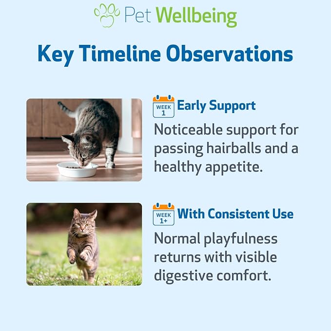 Pet Wellbeing Hairball Gold for Cats - Holistic Hairball and Digestive Care, Normal Elimination, Slippery Elm, MCT Oil, No Mineral Oil - Veterinarian-Formulated Herbal Supplement 4 oz (118 ml)