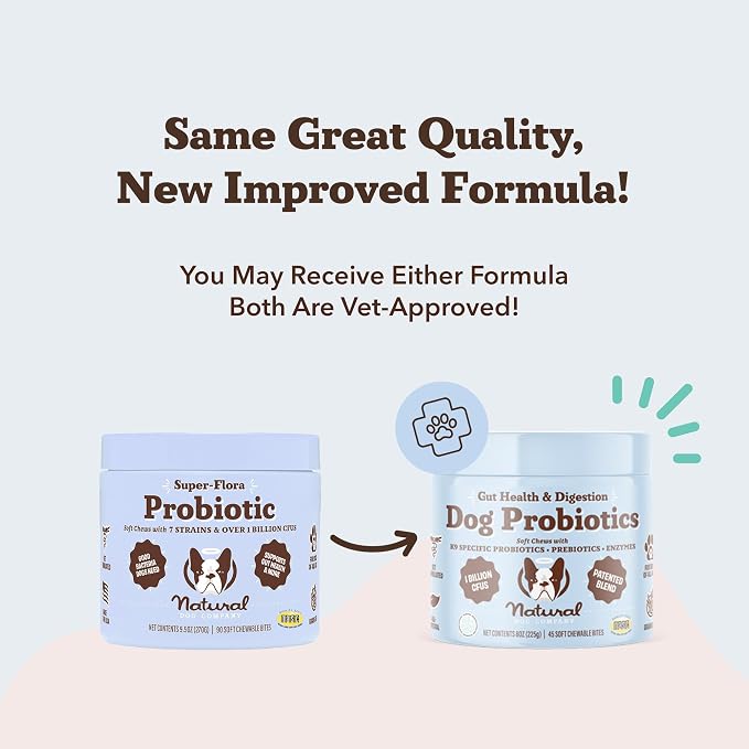 Natural Dog Company Probiotics for Dogs – Dog Probiotic Chews with 1B CFUs, Canine-Specific Microencapsulated Strains, Prebiotics & Enzymes for Digestive Health, Stool & Immune Support, 45 Ct