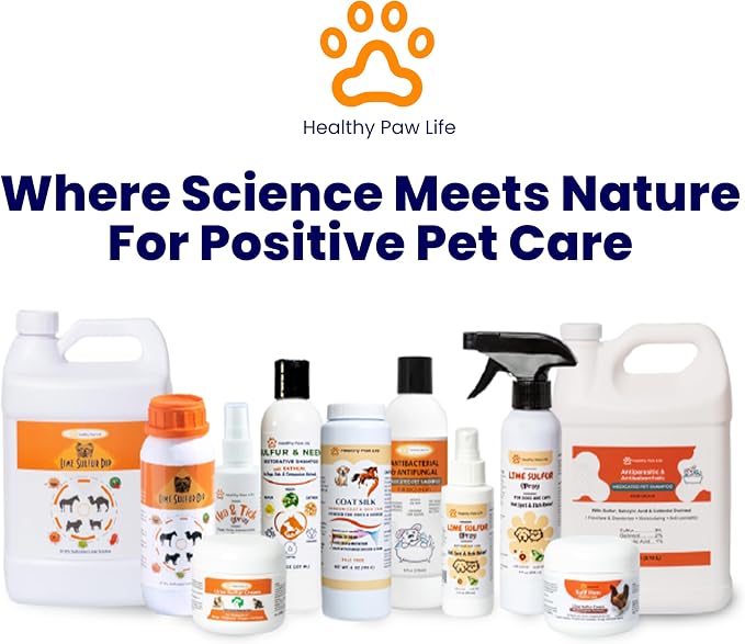 Healthy Paw Life Oatmeal Dog Shampoo for Dry Itchy Skin Relief - 1 Gallon Bulk Pet Wash for Dogs, Cats & Horses - Soothing Colloidal Oatmeal Formula for Sensitive Skin & Coat Care