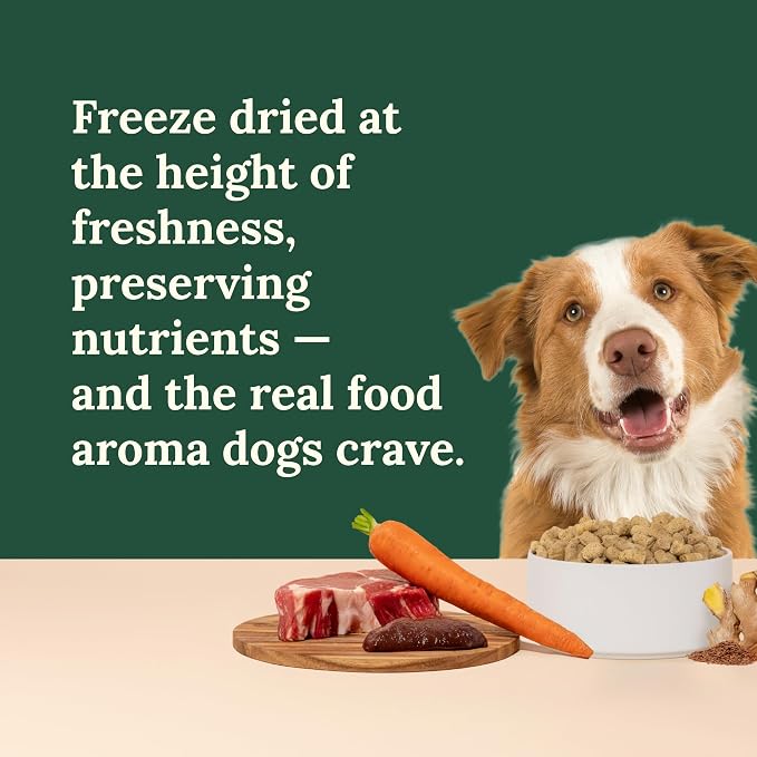 360 Pet Nutrition Freeze-Dried Raw Dog Food – Beef Recipe with Liver & Organs, High Protein with Omega-3s, Fruits, Veggies & Superfoods, Grain-Free, No Fillers, 1 lb – Made in USA