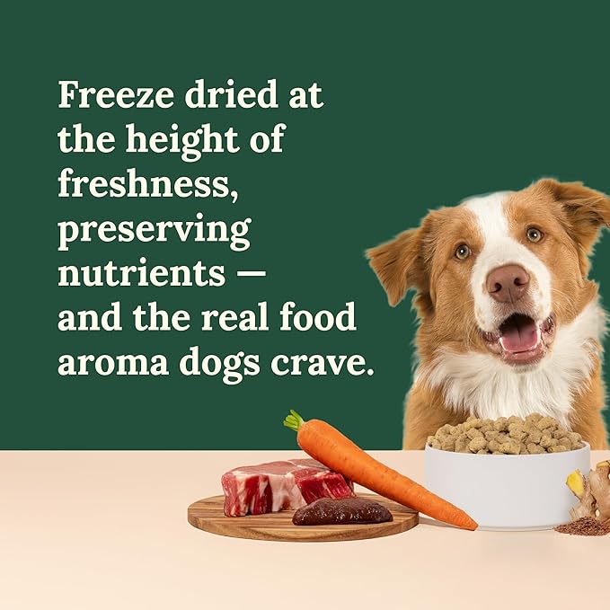 360 Pet Nutrition Freeze-Dried Raw Dog Food – Beef Recipe with Liver & Organs, High Protein with Omega-3s, Fruits, Veggies & Superfoods, Grain-Free, No Filler 2 x 48 oz – Made in USA