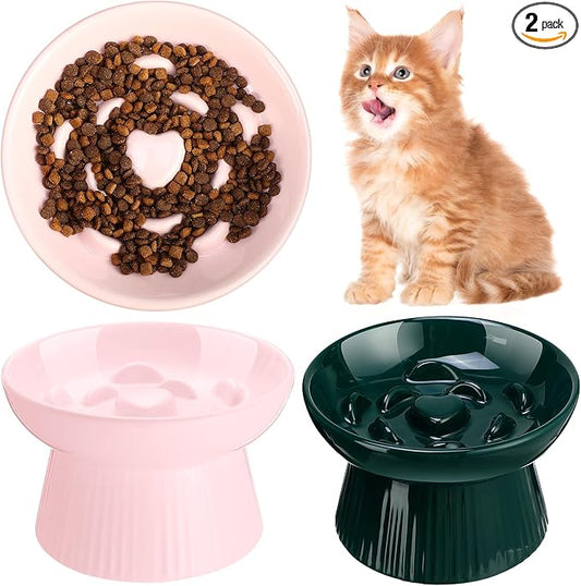 Tioncy 2 Pcs Raised Cat Slow Feeder Bowl Ceramic Elevated Cat Dog Food Bowl No Spill High Edge for Dry Wet Food and Water Easy to Clean, Dishwasher Safe (Pink,Dark Green)
