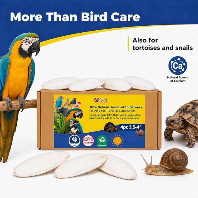 Birds LOVE 3.5-4″ Cuttlebone for Birds – 100% Natural Sun-Dried Calcium & Beak Conditioning Supplement for Parakeets, Budgies, Cockatiels, Finches & Canaries – 4 Pack with Holder – Made in Vietnam