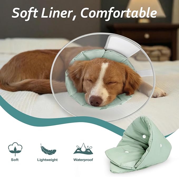 Dog Cone Collar with Snap-on Detachable Soft Liner, Lightweight Transparent Elizabethan Alternative to Stop Licking, for Spay Neuter Surgery Recovery, for Medium Large Small Dogs (Green,M)