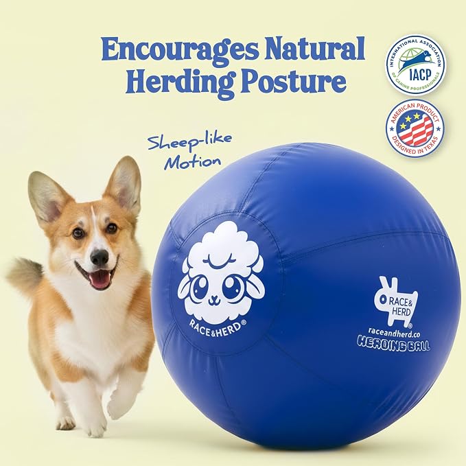 Race&Herd 18" Original XXL Herding Ball for Dogs - Herding Toys, Giant Dog Ball for Australian Shepherds, Border Collies - Durable Dog Outdoor Training Toy for Small Breeds (Ocean)