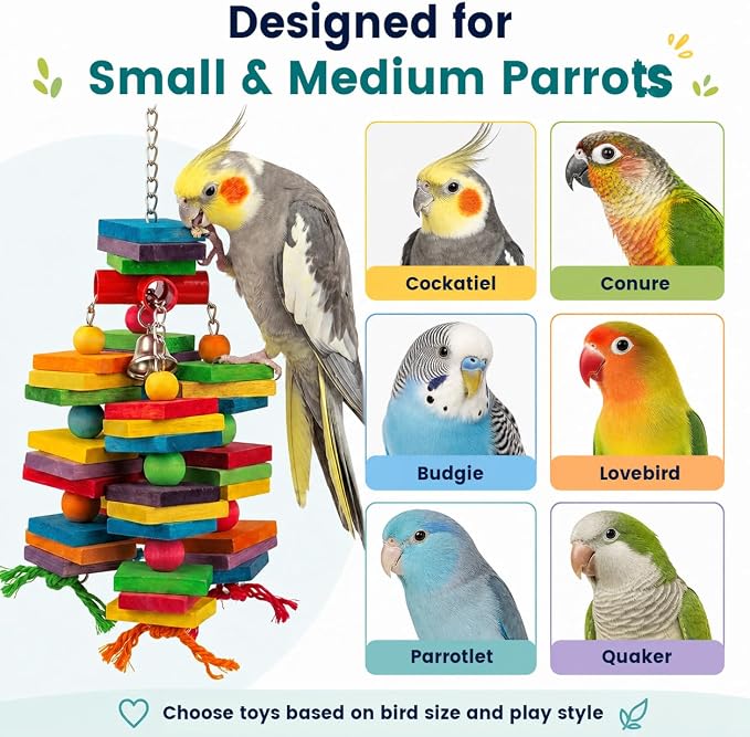 2 Pack Bird Toys Natural Wood Bird Chewing Toy with Heavy-Duty Stainless Steel Chain for Small to Medium Parrot, Cockatiel, African Grey, Amazon Parrot, Conure Bird Cage Accesso