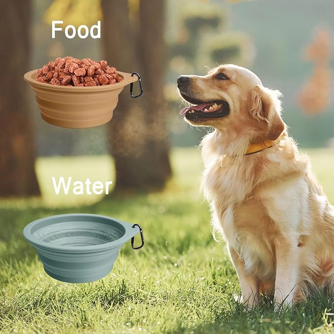 PetBonus Heavy Duty 24 Inch Short Dog Leash and 2-Pack Large Silicone Collapsible Dog Bowls