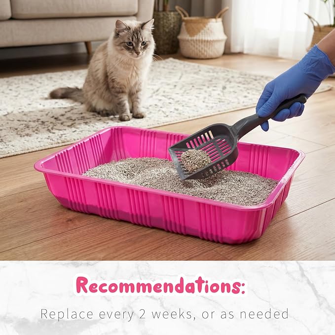 Tessco for you 30 Pack Disposable Cat Litter Boxes, Plastic Leakproof Litter Trays for Cats, Disposable Travel or Temporary Litters Pan for Kittens and Small Pets, 16.7 x 10.5 x 3.4 Inch(Rose Red)